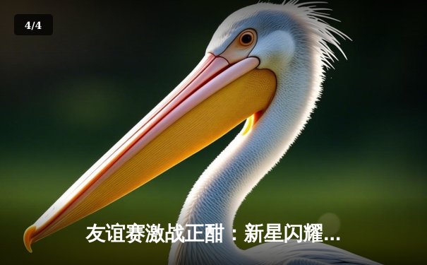 友谊赛激战正酣：新星闪耀，老将坚守，直播平台见证热血对决 - 4